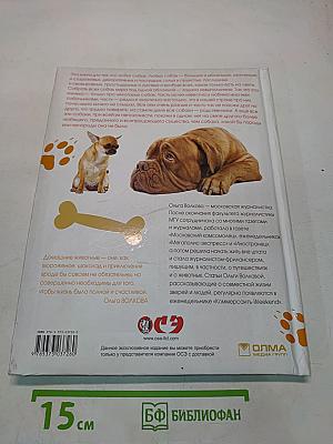 Если у вас есть собака