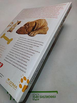 Если у вас есть собака