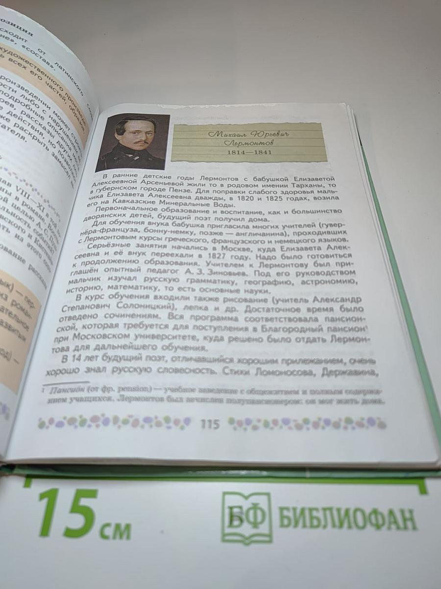 Литература. 6 класс. Часть 1