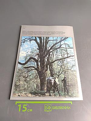 Наука в СССР № 3 1983