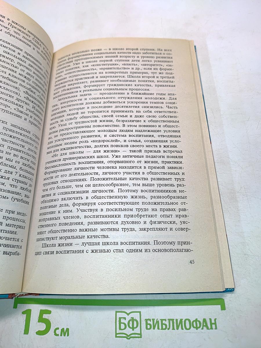 Педагогика. Новый курс. В 2 книгах. Книга 2. Процесс воспитания