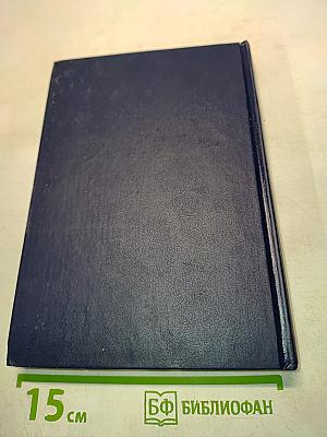 Русское уголовное право. Лекции. Часть общая. Том 2