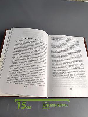 Основания уголовного судопроизводства с применением к российскому уголовному судопроизводству