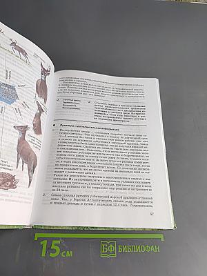 Экология 10 (11) класс