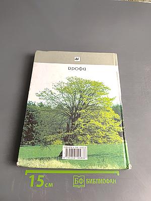 Экология 10 (11) класс