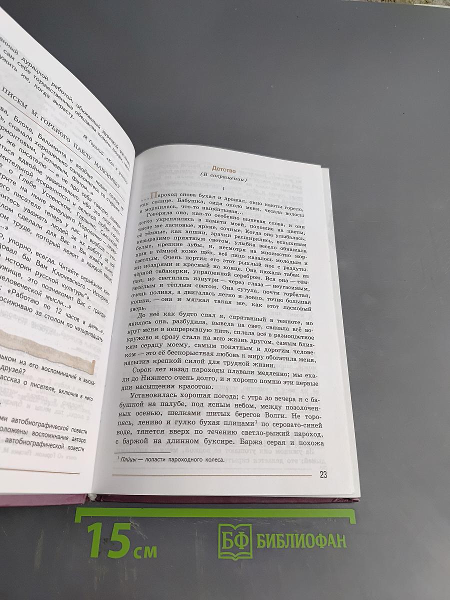 Литература. Учебник для общеобразовательных организаций. 7 класс. Часть 2