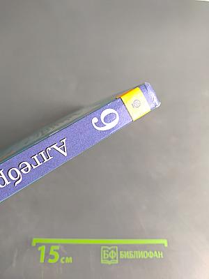 Алгебра 9 класс