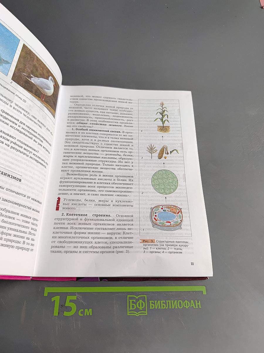 Биология 9 класс