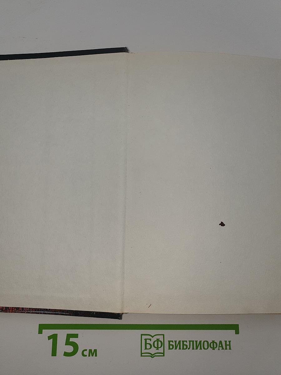 Здесь обитают чудовища