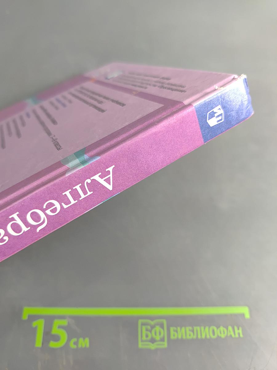 Алгебра 8 класс