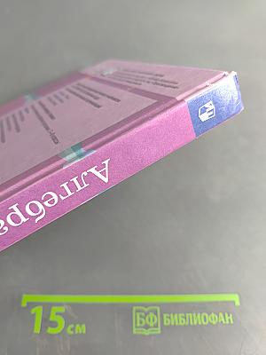 Алгебра 8 класс