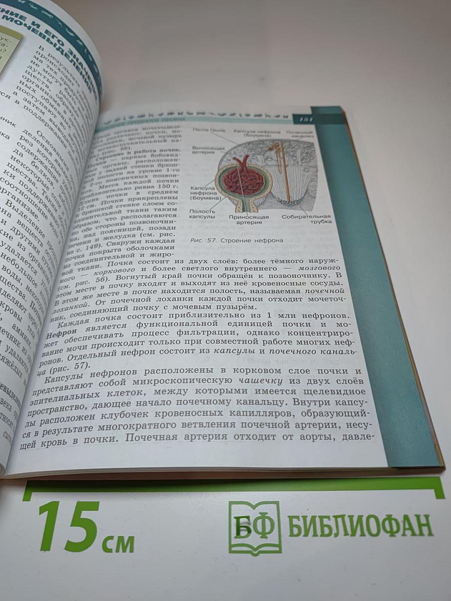 Биология, 8 класс