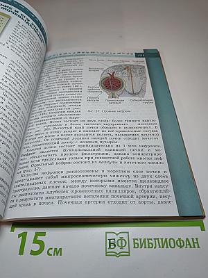 Биология, 8 класс