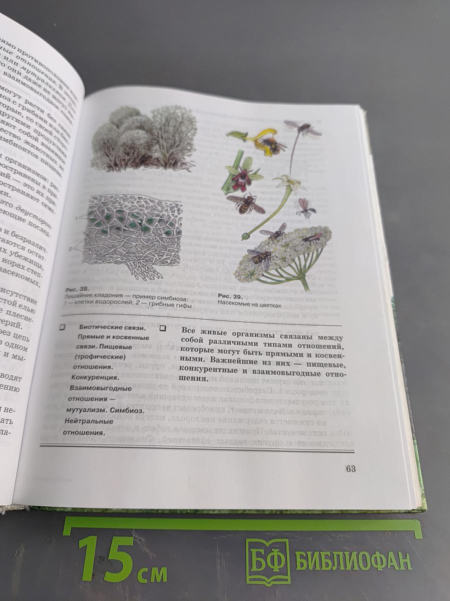 Экология 10 (11) класс