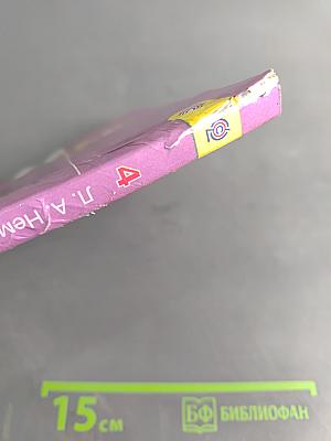 Изобразительное искусство. Каждый народ – художник. Учебник для общеобразовательных организаций. 4 класс