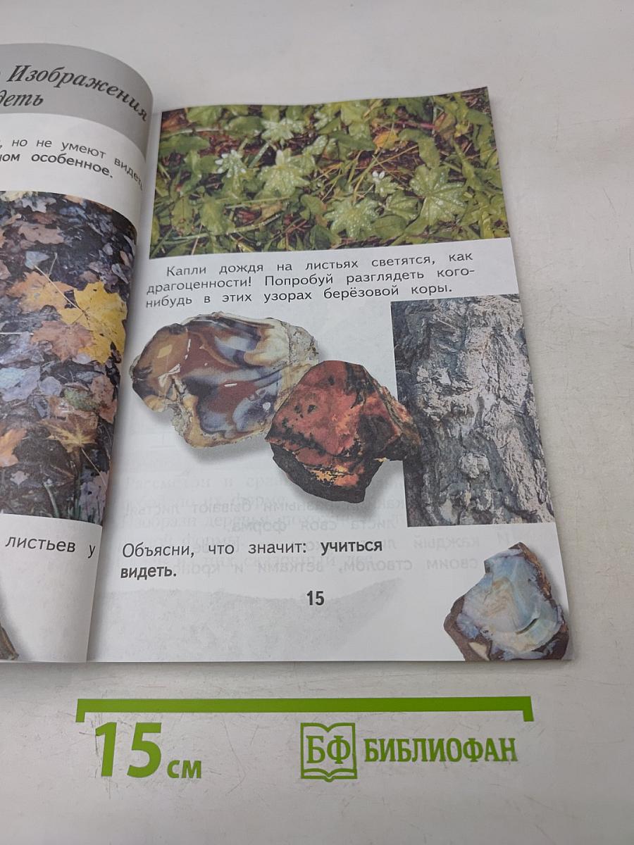 Изобразительное искусство. Ты изображаешь, украшаешь и строишь. Учебник для общеобразовательных организаций. 1 класс