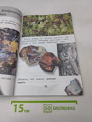 Изобразительное искусство. Ты изображаешь, украшаешь и строишь. Учебник для общеобразовательных организаций. 1 класс