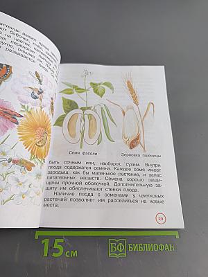 Окружающий мир. Учебник. 3 класс. Часть первая