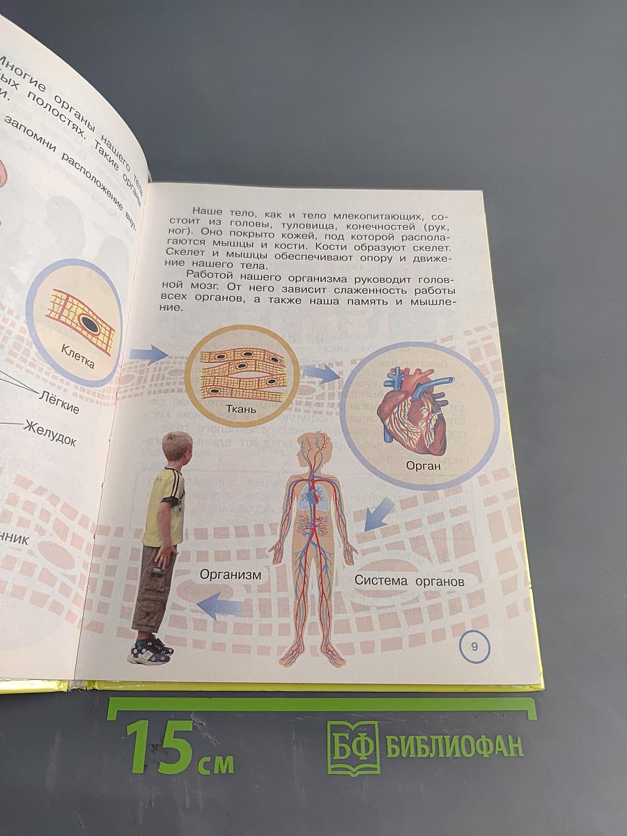 Окружающий мир. Учебник. 4 класс. Часть первая