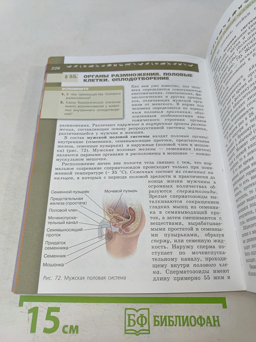 Биология. 8 класс