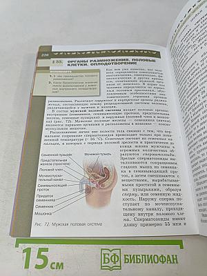 Биология. 8 класс