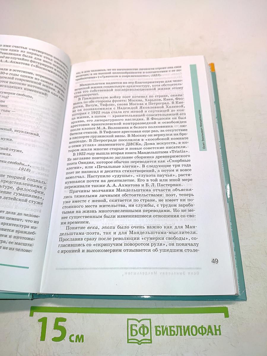 Литература 11 класс Часть 2