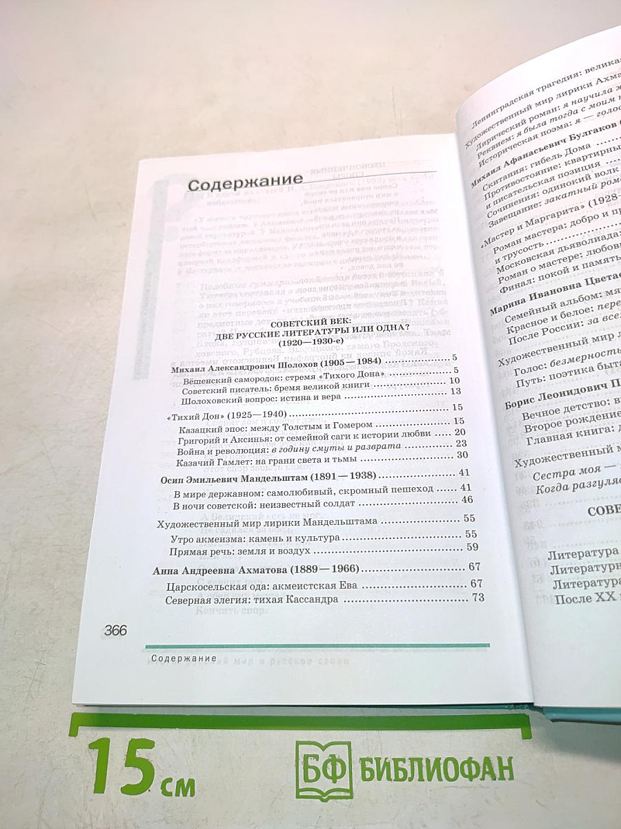 Литература 11 класс Часть 2