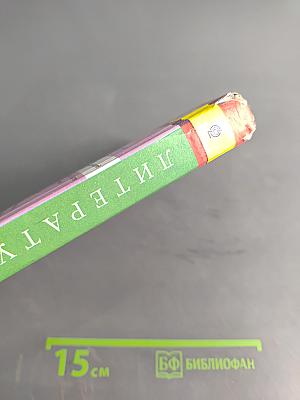 Литература. 7 класс. Учебник для общеобразовательных организаций. В двух частях. Часть 2