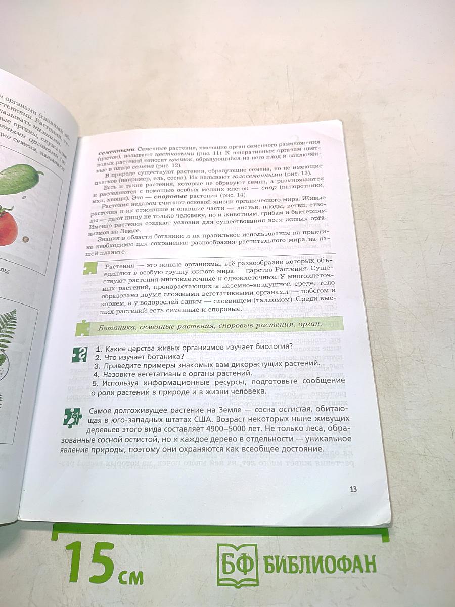 Биология. 6 класс