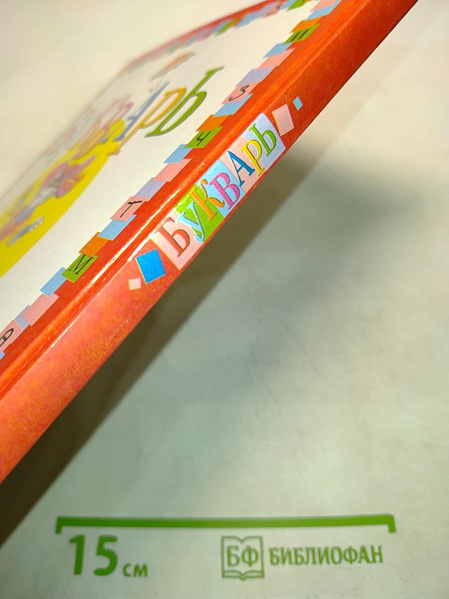 Букварь. Подготовительный класс специальных (коррекционных) образовательных учреждений I вида. 5-е издание, переработанное