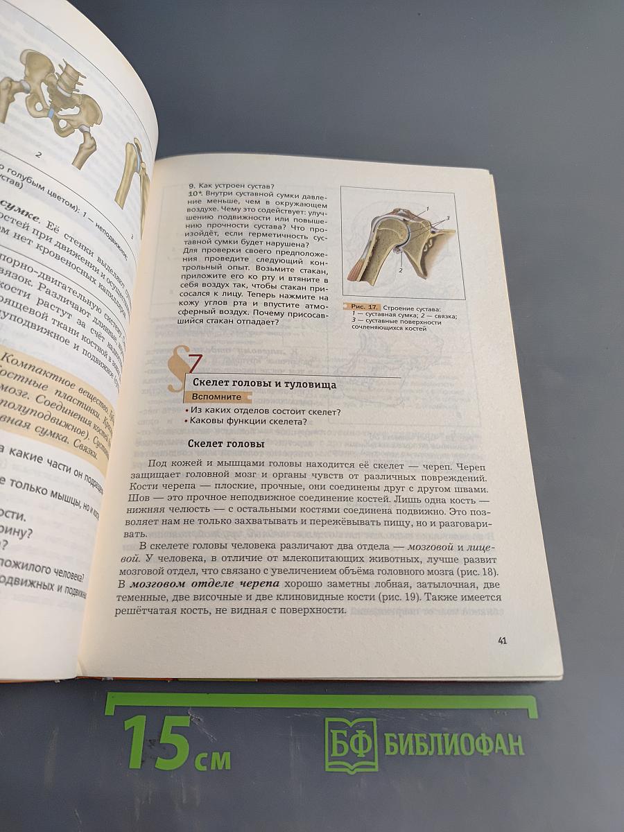 Биология. 8 класс