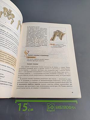 Биология. 8 класс