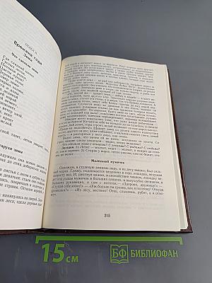 Педагогические сочинения. Том 4