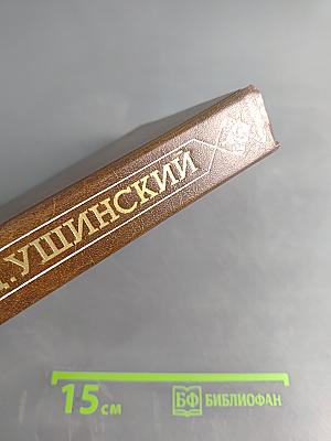 Педагогические сочинения. Том 4