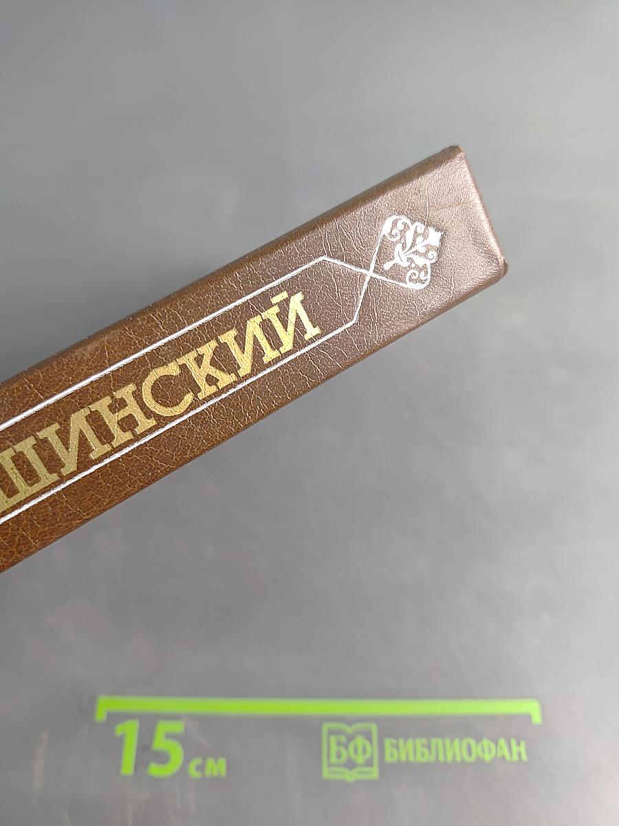 Педагогические сочинения. Том 5