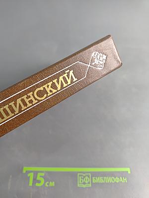 Педагогические сочинения. Том 5