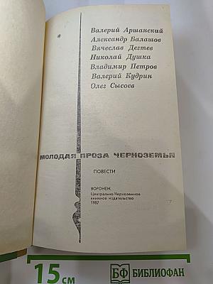 Молодая проза Черноземья