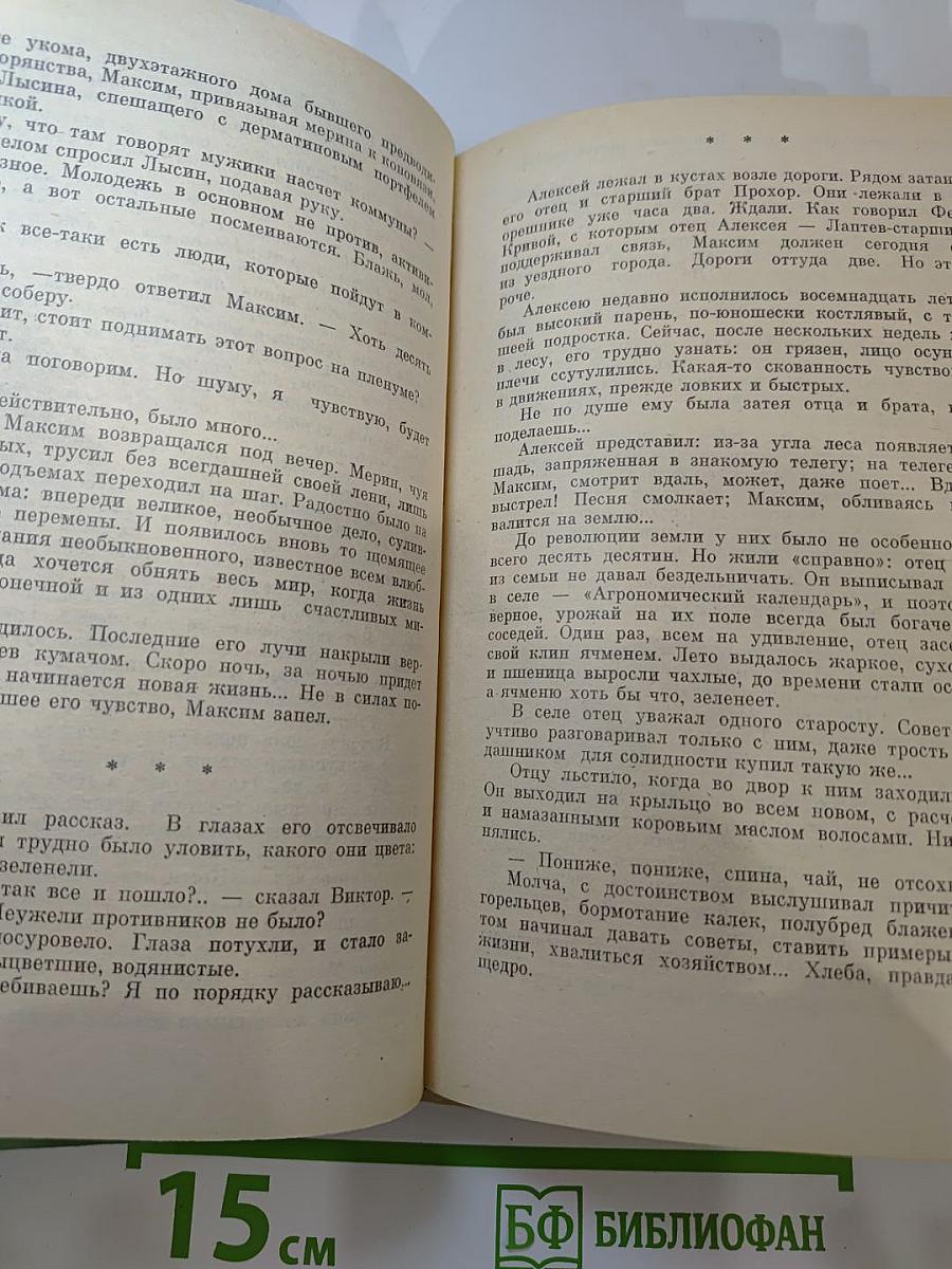 Молодая проза Черноземья
