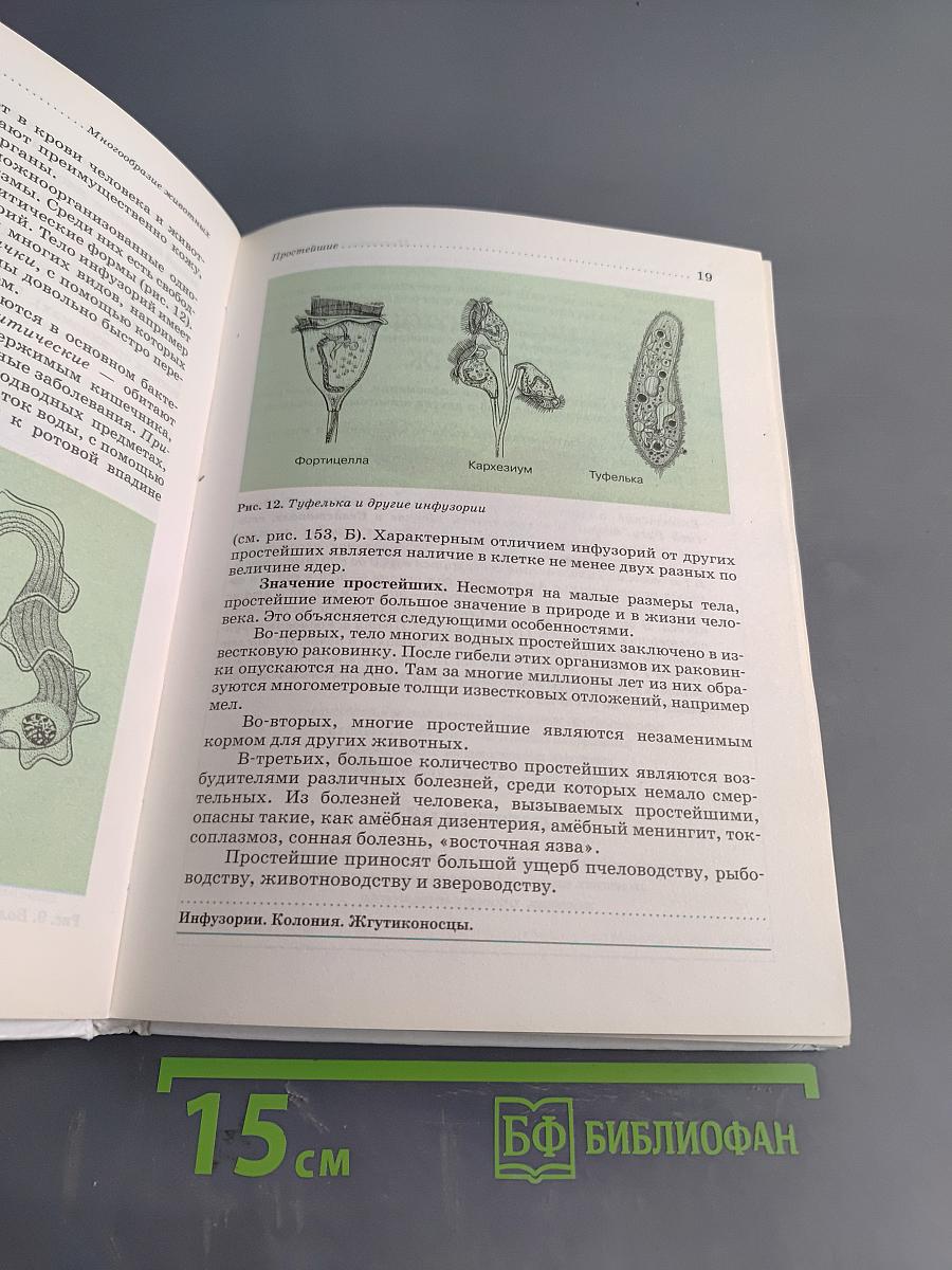 Биология. Животные. 7 класс