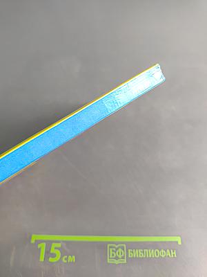 Единый государственный экзамен. Русский язык. 2003-2004. Новые варианты с ответами и комментариями