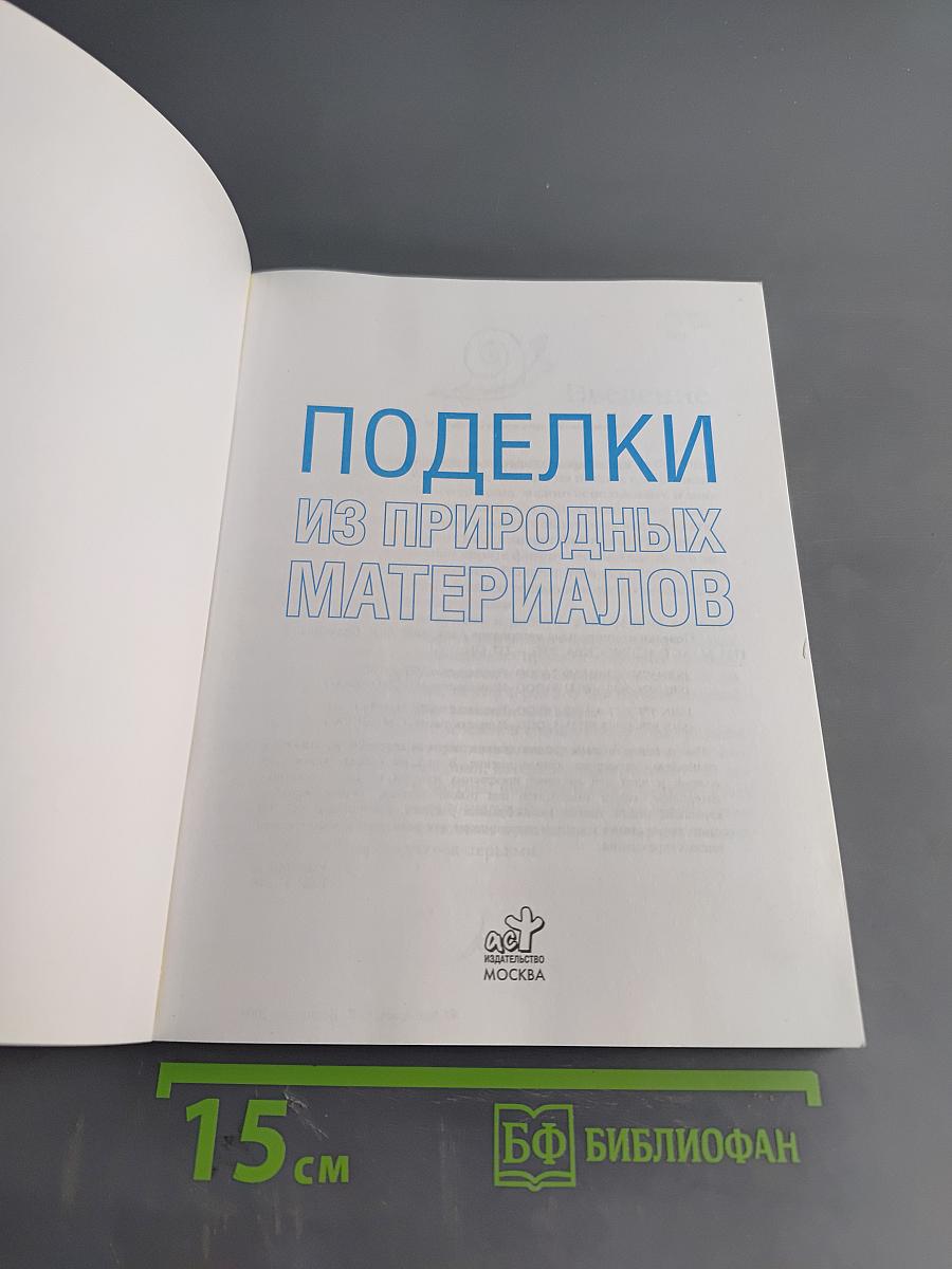 Поделки из природных материалов