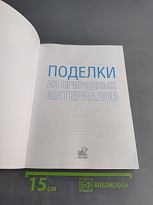 Поделки из природных материалов