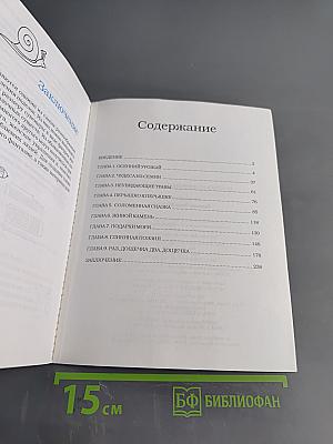 Поделки из природных материалов