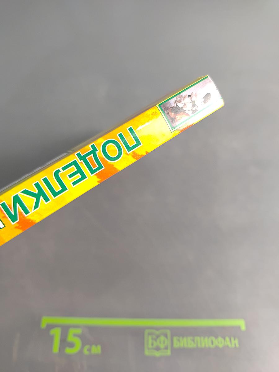 Поделки из природных материалов