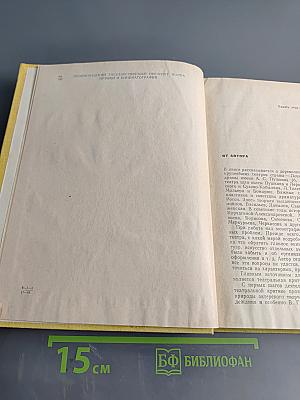 Театр. Прославленные мастера