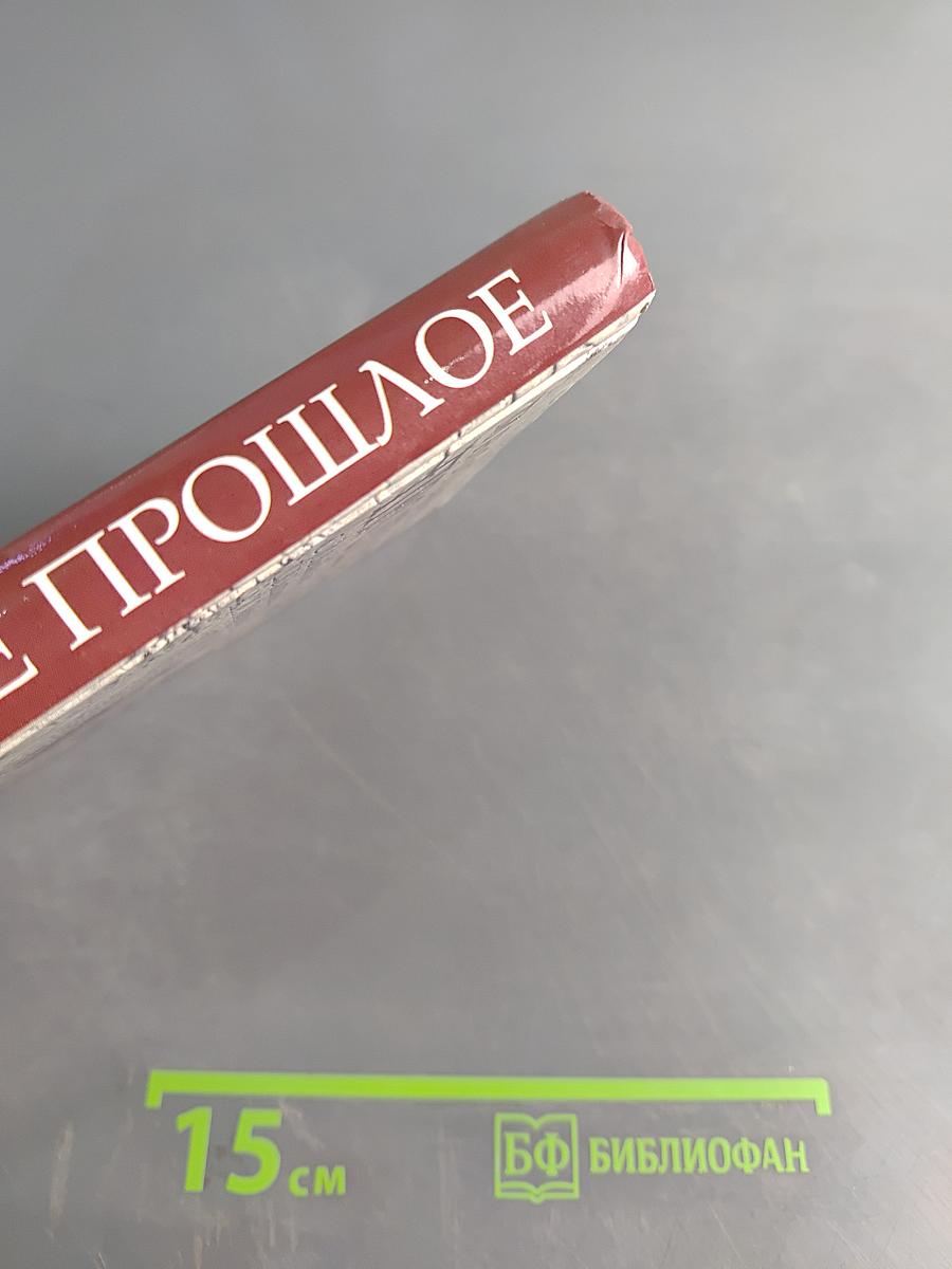 Многомерное прошлое. Том 3. О солдатах, кораблях и арбалетах