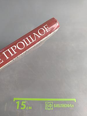 Многомерное прошлое. Том 3. О солдатах, кораблях и арбалетах