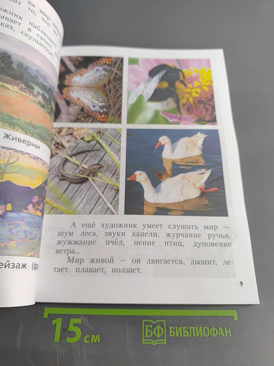 Изобразительное искусство. 1 класс