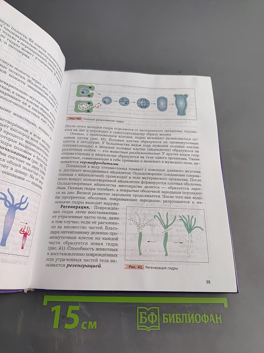 Биология 7 класс