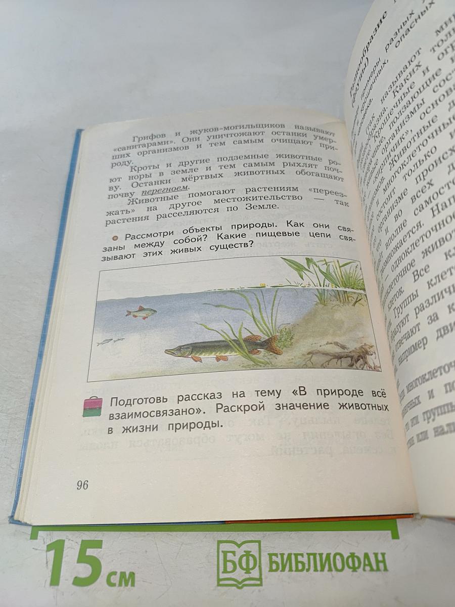 Окружающий мир. 3 класс. Часть первая